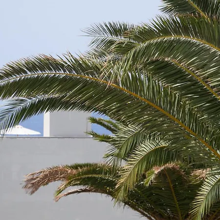 Adriana House 50 Metros Al Mar Lejlighed *